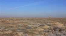 中石油新疆公司2010年度滚动开发油井项目